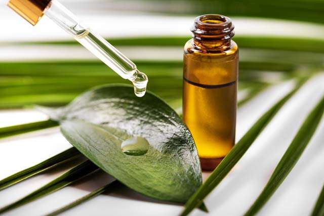 Para pieles propensas al acné: té verde, aceite de árbol de té y miel